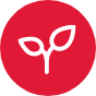 logo-hojita
